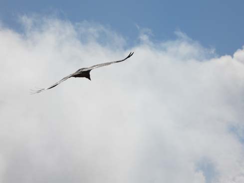 40535_Dingboche_Chukung