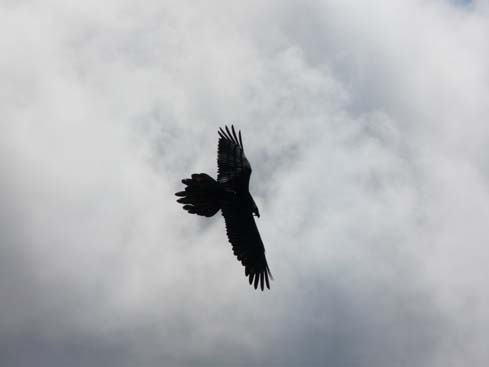 40536_Dingboche_Chukung