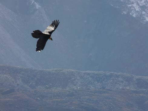 40537_Dingboche_Chukung