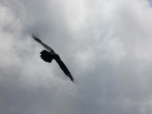 40539_Dingboche_Chukung