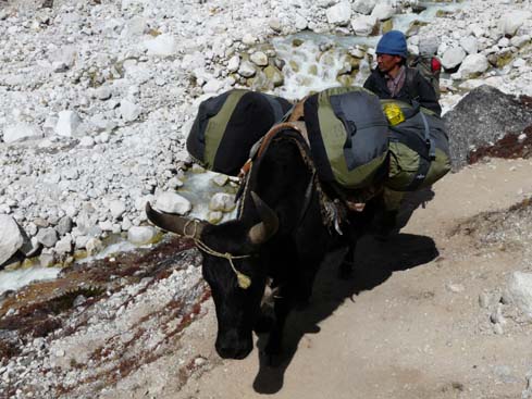 40658_Chukung_Lobuche