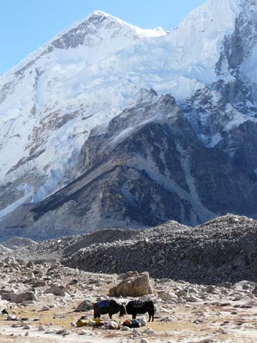 40716_Lobuche_Kala_Patar_Lobuche