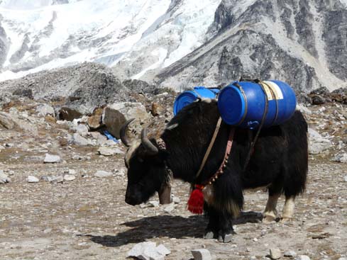 40786_Lobuche_Kala_Patar_Lobuche