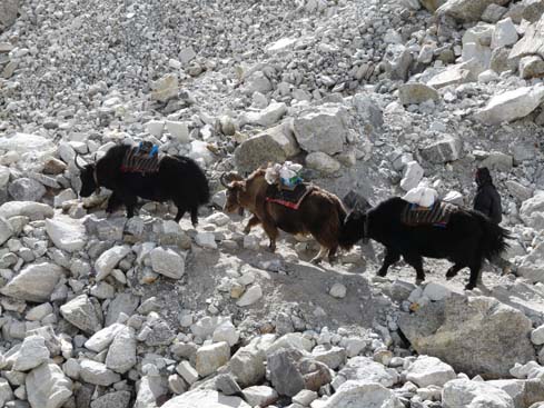 40794_Lobuche_Kala_Patar_Lobuche