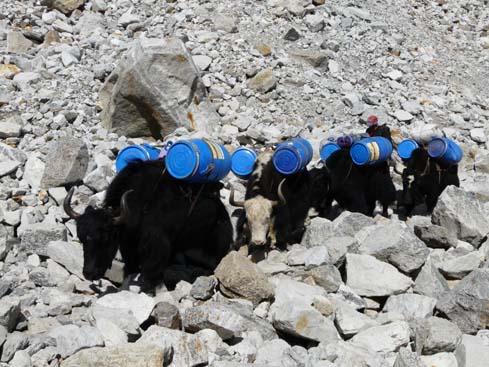 40800_Lobuche_Kala_Patar_Lobuche