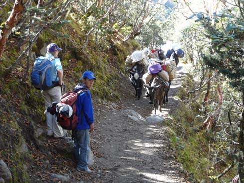 40963_Pangboche_Tengboche_Namche