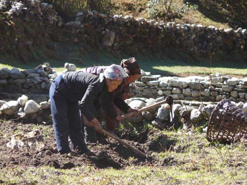 40965_Pangboche_Tengboche_Namche