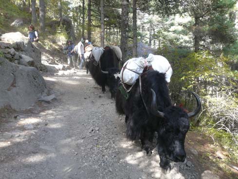 50019_Pangboche_Tengboche_Namche