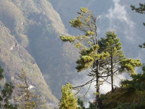 50036_Pangboche_Tengboche_Namche