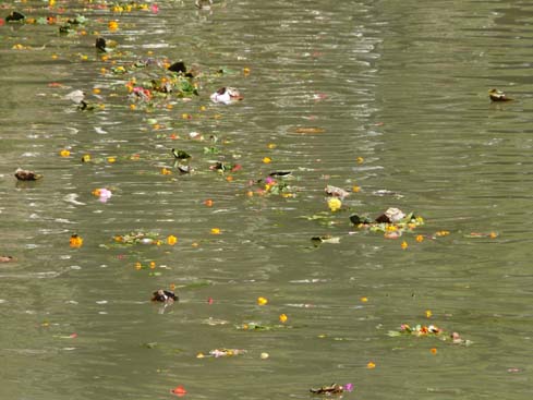 50122_Pashupatinath_KTM