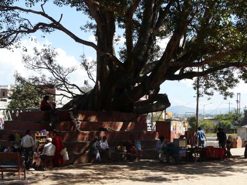 50163_Pashupatinath_KTM