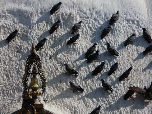 50385_Swayambunath_KTM