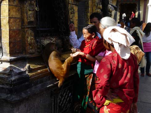 50389_Swayambunath_KTM