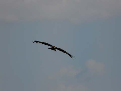 50408_Swayambunath_KTM