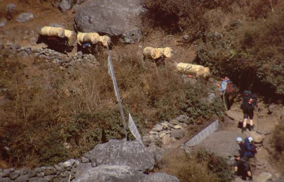 Khumbu2000-008