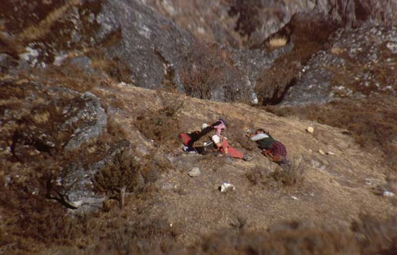 Khumbu2000-048