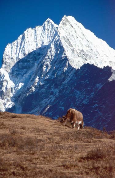 Khumbu2000-051