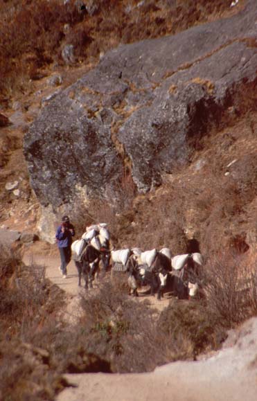 Khumbu2000-055