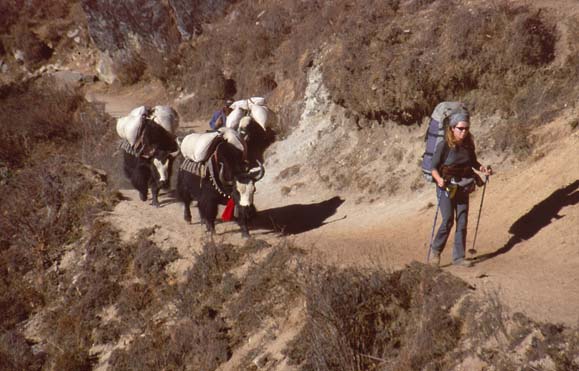 Khumbu2000-056