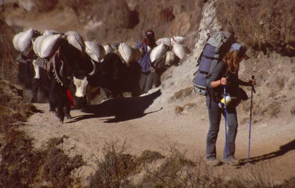 Khumbu2000-057