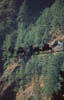 Khumbu2000-167