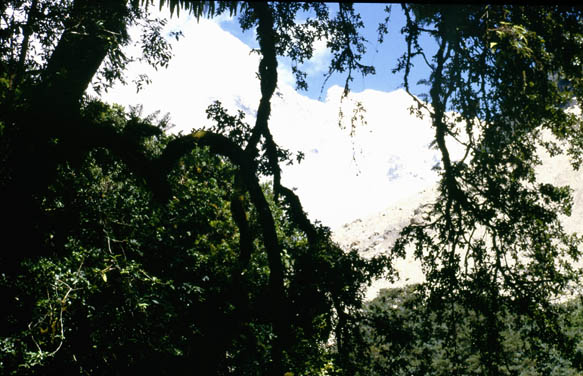 Langtang_1986_043
