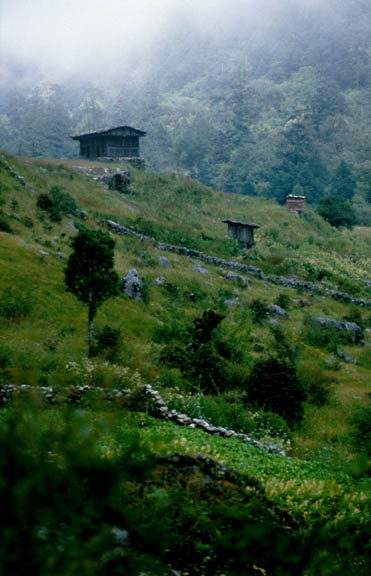 Langtang_1986_050