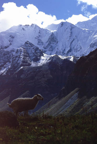 Langtang_1986_104