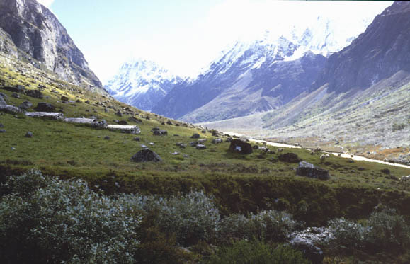 Langtang_1986_110