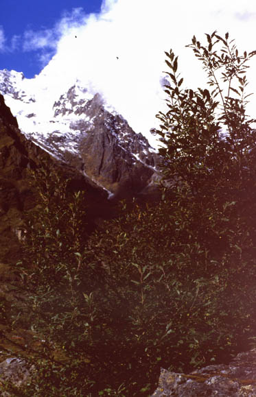 Langtang_1986_117