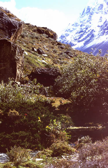 Langtang_1986_118
