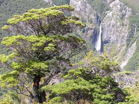 Wasserfall Neuseeland