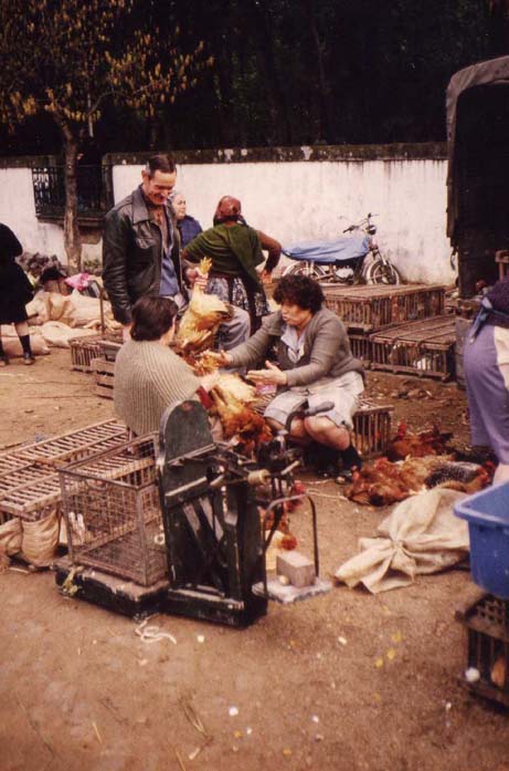 Portugal 013 Barcellos