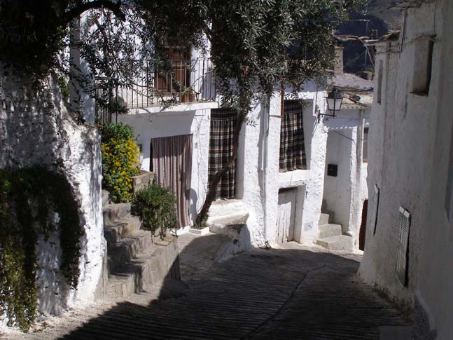 Sierra Nevada 03_2007 - 017