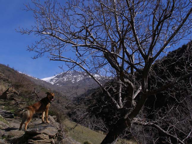 Sierra Nevada 03_2007 - 058