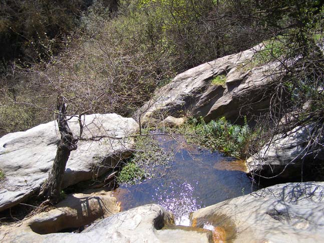 Sierra Nevada 03_2007 - 026