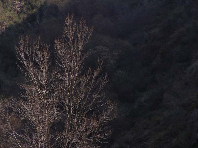 Sierra Nevada 03_2007 - 044