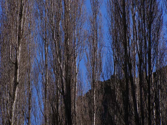 Sierra Nevada 03_2007 - 055