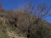 Sierra Nevada 03_2007 - 056