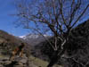 Sierra Nevada 03_2007 - 058