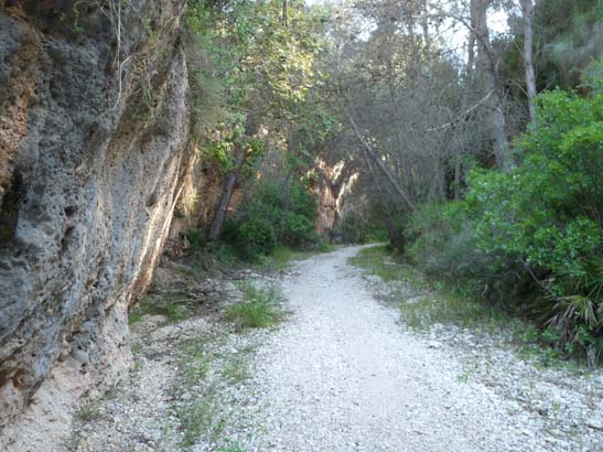 2-Cortijo-Almachares-003