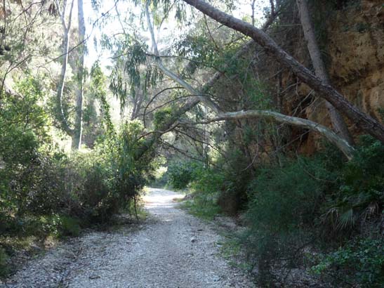 2-Cortijo-Almachares-006