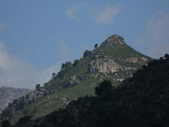 2-Cortijo-Almachares-013