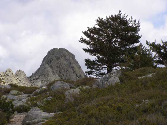 La_Pedriza_062
