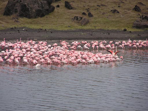 051108 Tanzania Kilimanjaro 018_Arusha_Nationalpark