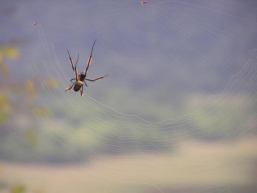 051108_Tanzania_Kilimanjaro_013_Arusha_Nationalpark