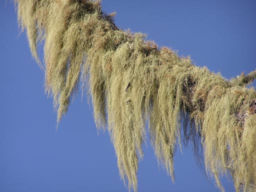 050125_Tanzania_Kilimanjaro 042