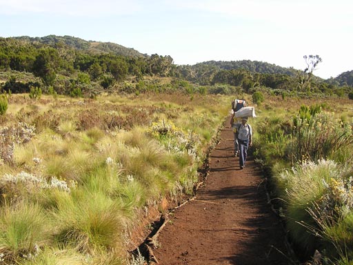 050125_Tanzania_Kilimanjaro 043