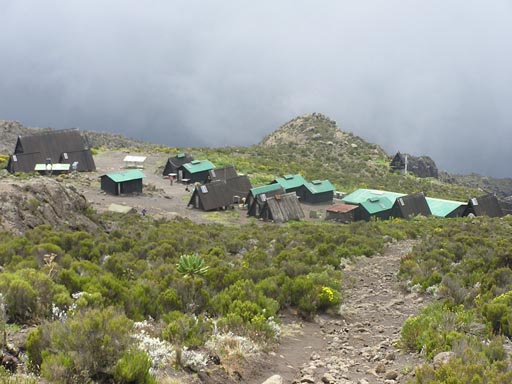 050125_Tanzania_Kilimanjaro 062