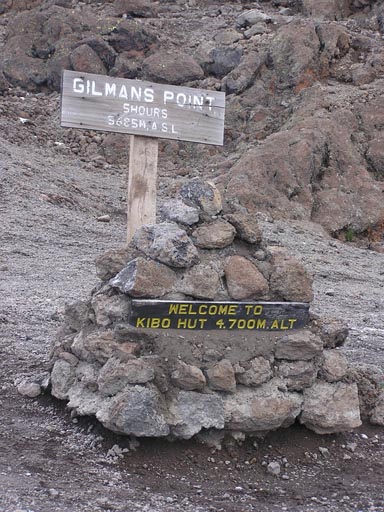050125_Tanzania_Kilimanjaro 100